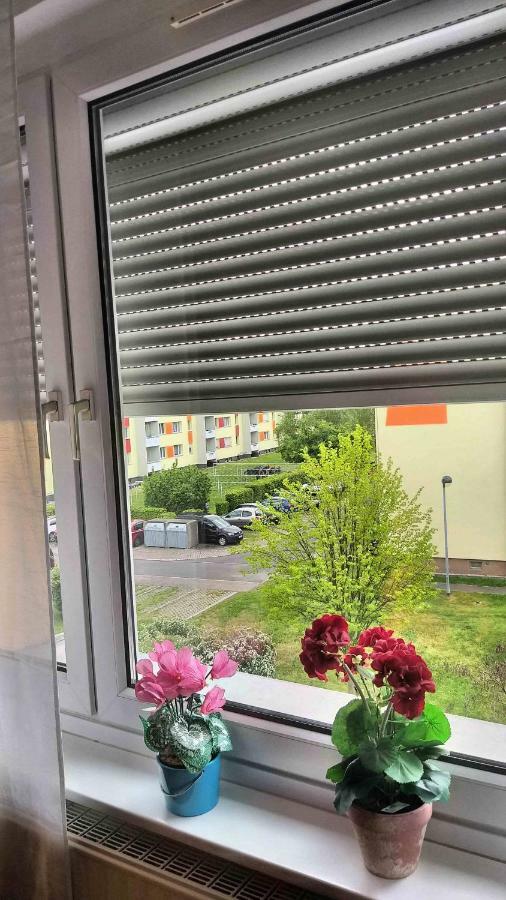 Komfort Ferienwohnungen Zwenkauer See Ngoại thất bức ảnh